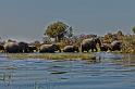 072 Okavango Delta, olifanten